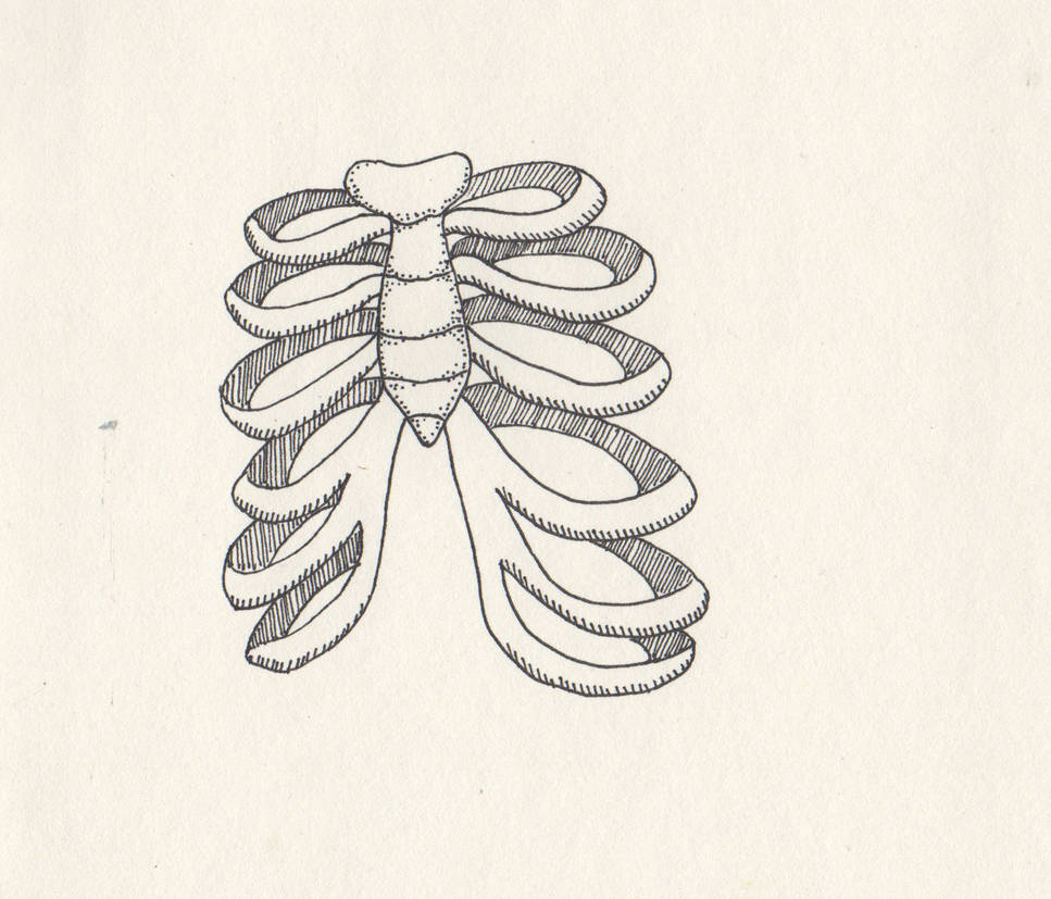 Ribs Sketch by BrookeMc on DeviantArt
