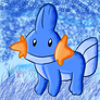 My First Mudkip