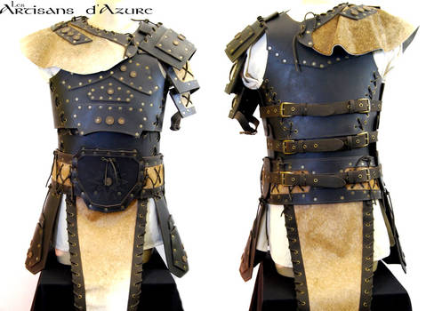 Barbarian's delux armor