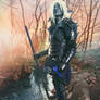 Dark Elf Armor (2)