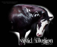 Vivid Illusion