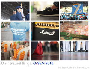 Orsem 2010. Zoom.