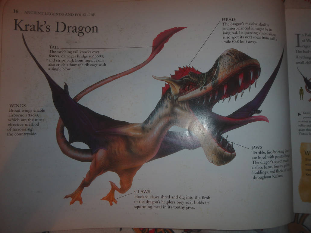 Dragon Rakis Kraks Dragon by CandySugarSkullGirl9 on DeviantArt