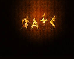 Rats - Wallpaper