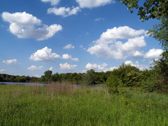 lake field sky