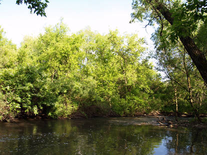 Stream