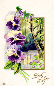 Best Wishes vintage postcard