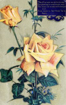 Vintage Yellow Roses