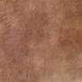 Sepia Canvas