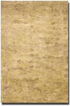 Parchment Texture