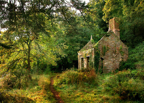 Country Cottage with texture