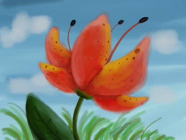 this is what happens when i am bored