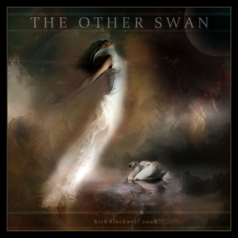 The Other Swan