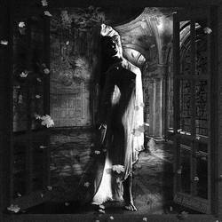 DANCER FROM THE DANCE BW