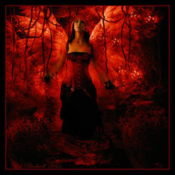 The RED FAE