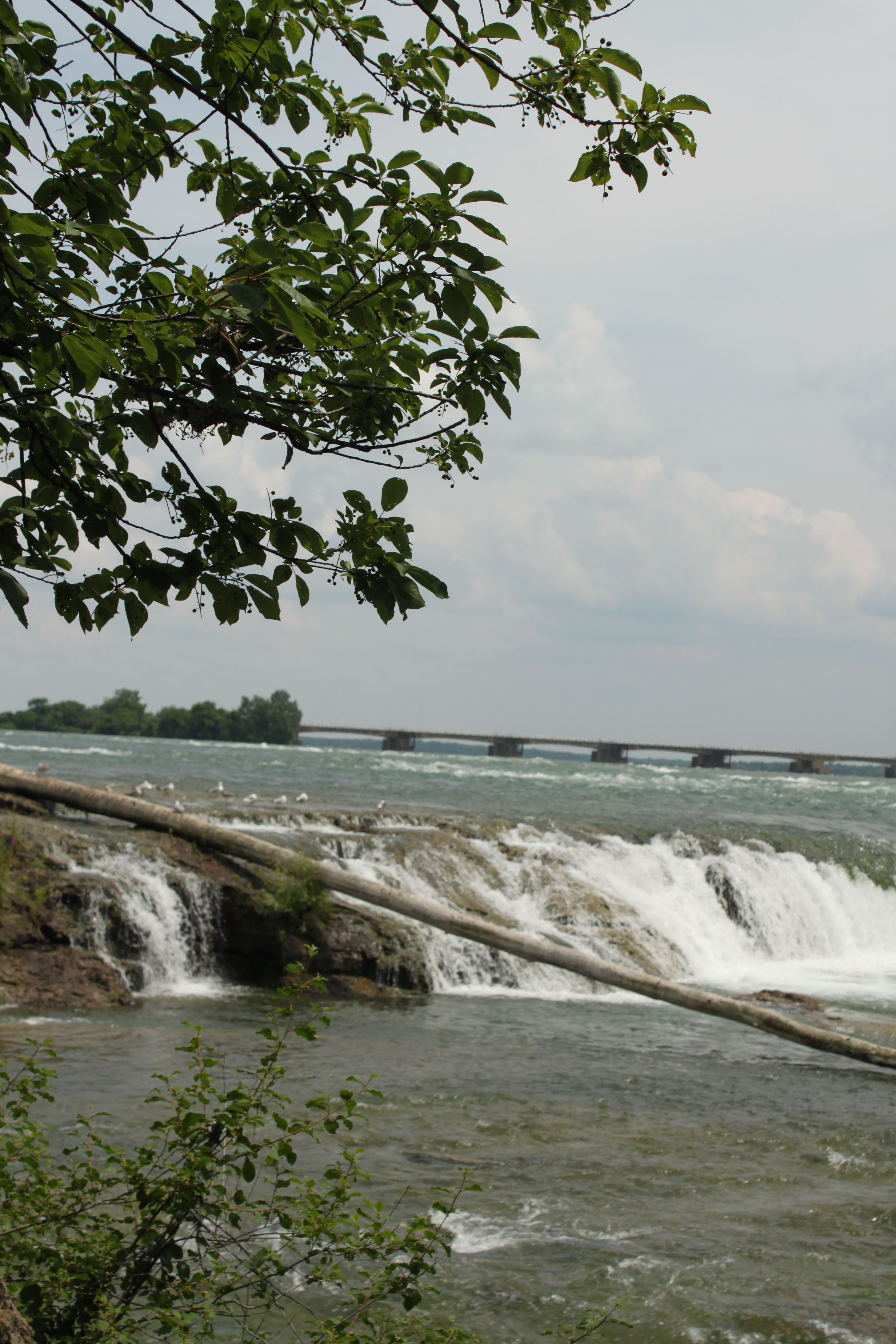 Nature 1  Canada