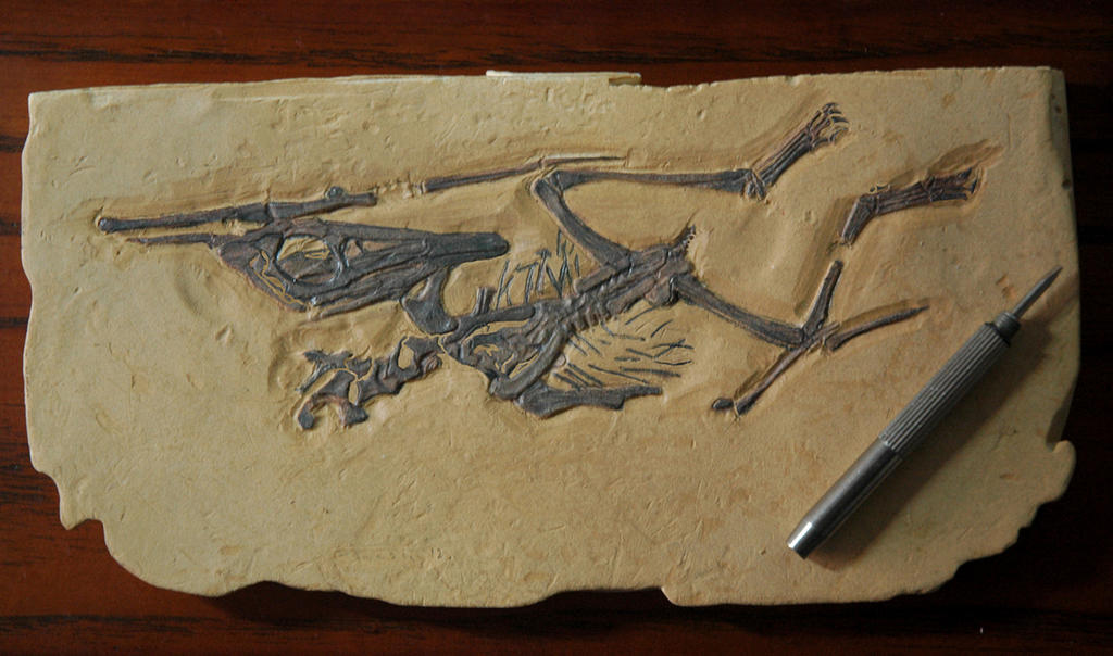 Nemicolopterus crypticus by hannay1982 on DeviantArt