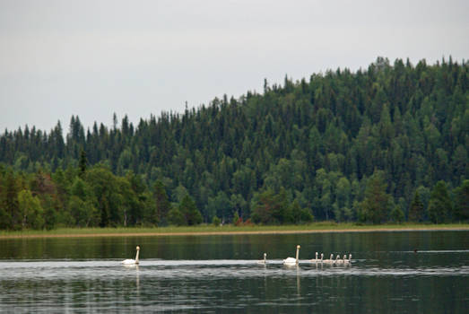 Landscape from Kuusamo