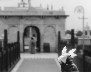 Lotus temple