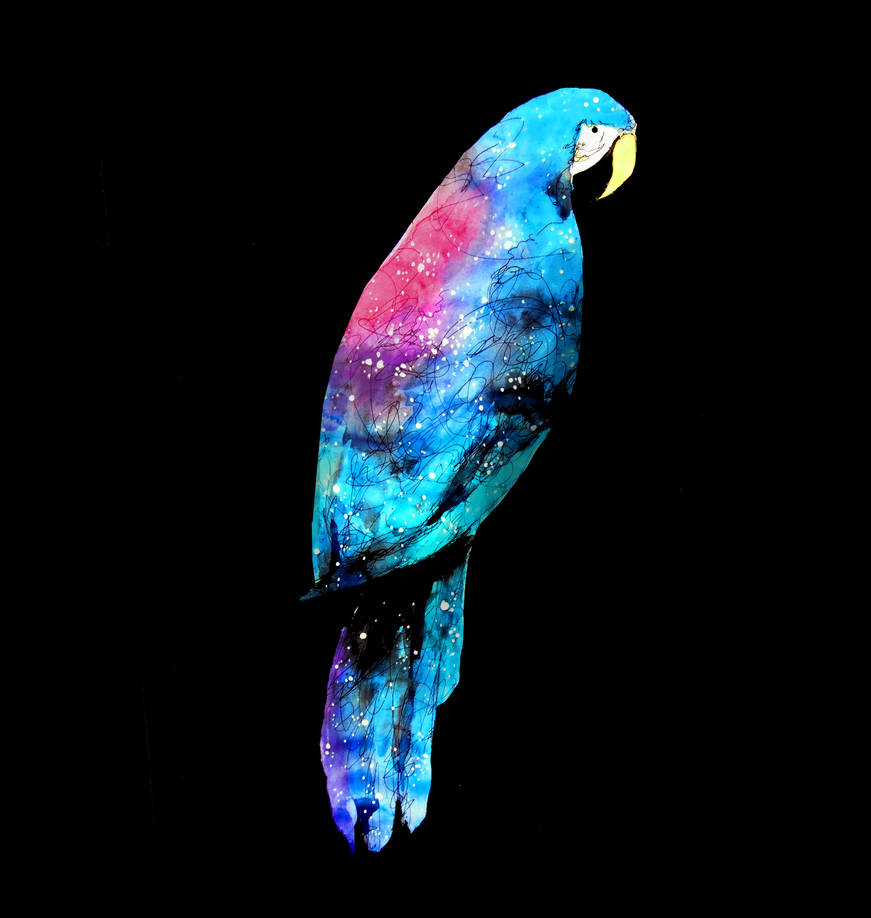 Space Parrot Space Parrot by vivapo on DeviantArt