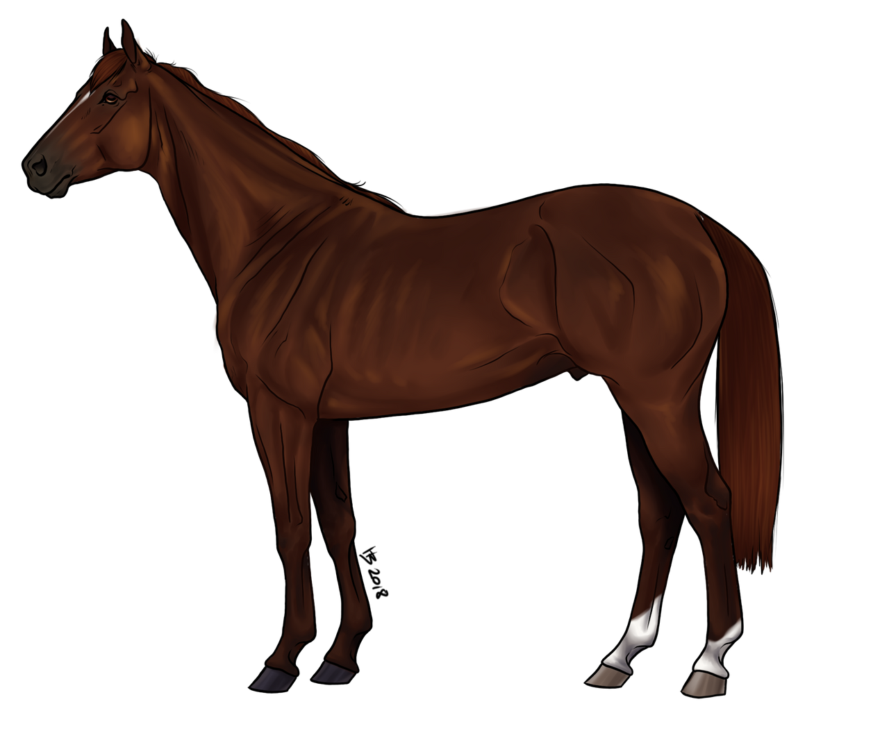 Colt Rearing Side Profile Colt by KarPAriK on DeviantArt