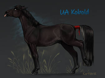 UA Kobold