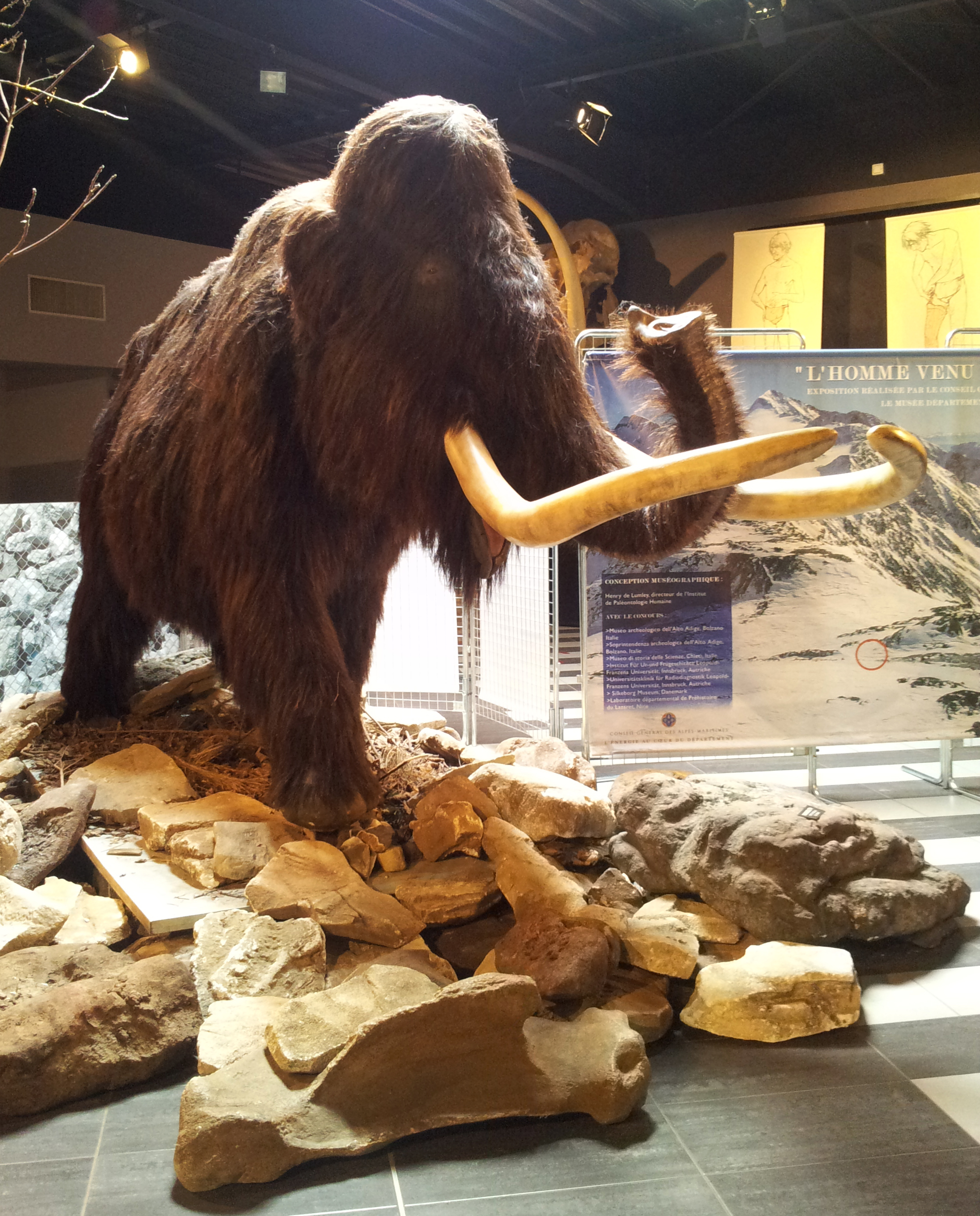 Mammoth I