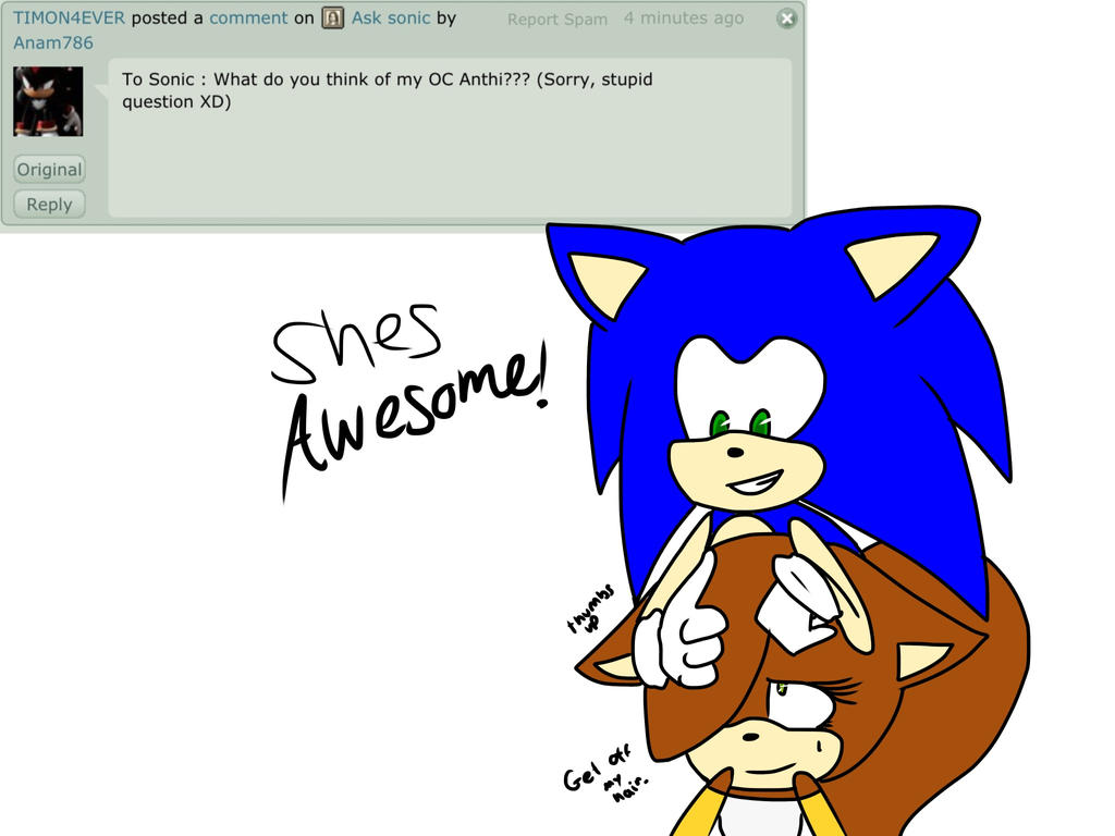 Ask Sonic :TIMON4EVER: by Anam786 on DeviantArt