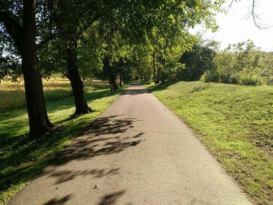 Path 46 path by Shadylexi24 on DeviantArt