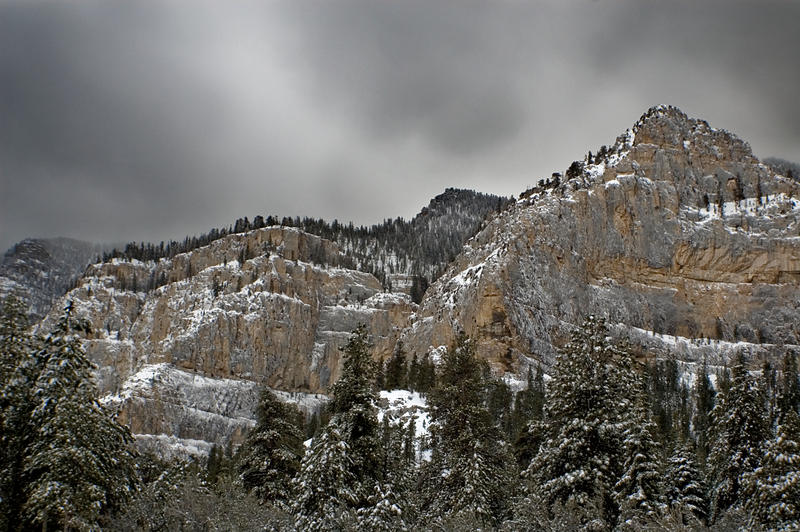 Mt. Charleston