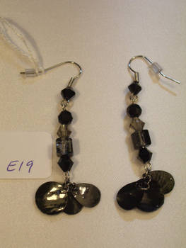 Earrings - E19