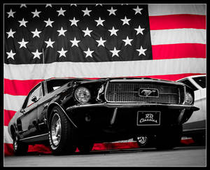 Mustang USA