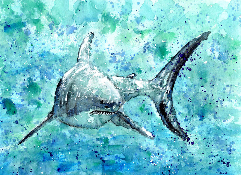 Shark Deviantart Shark by shahuskies on DeviantArt