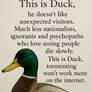 This is Duck