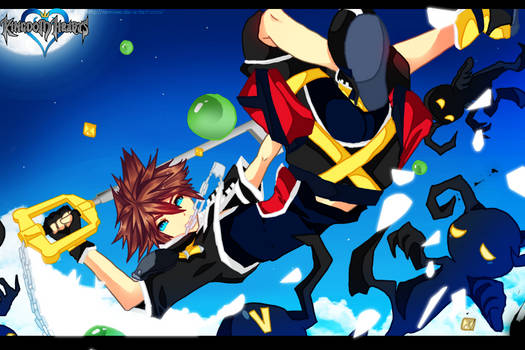 Sora  KH2 : Nobodies :