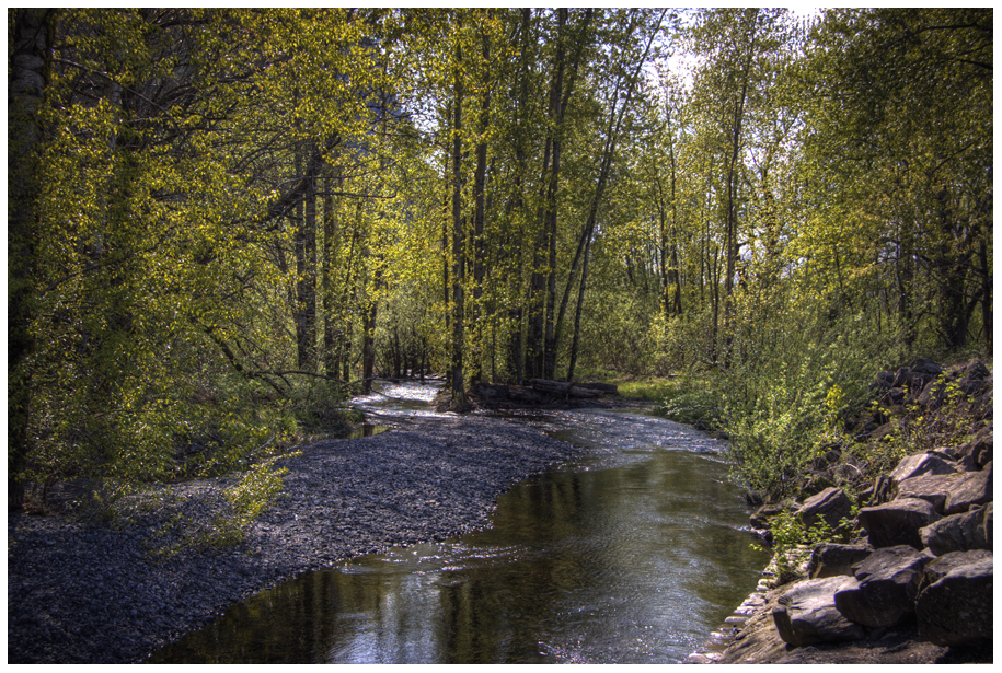 Creek At Multnomah Falls