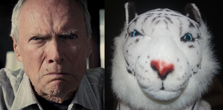 Why I Named My White Tiger Clint Eastwood