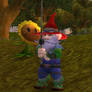 Garden Gnome Transmog