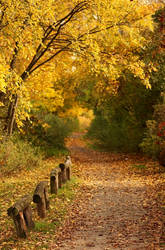 The Path to Autumn