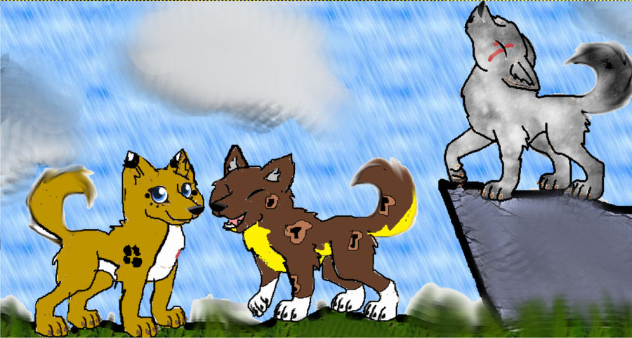 Cd Rudd Deviantart Wolfpack My wolf pack by Freyathewarriorcat on DeviantArt