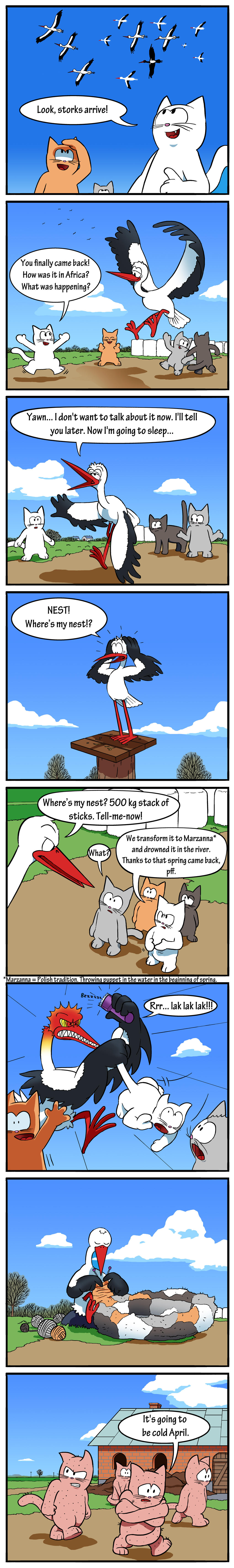 CatZ #10 - Stork returns