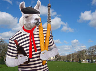 French the Llama