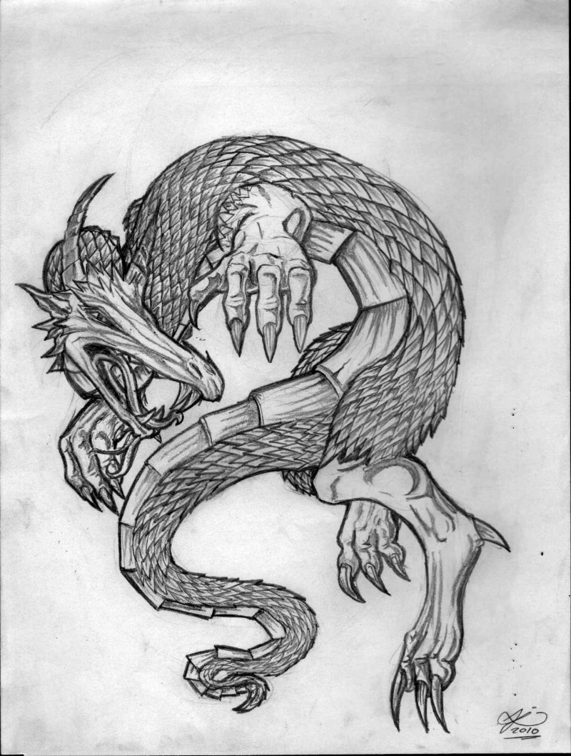 Dragon Tattoo Sketch