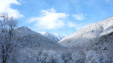 View of the Caucasus Mountains in Teberda