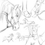 Horse sketches