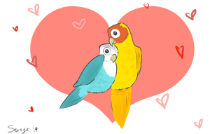 Love Birds