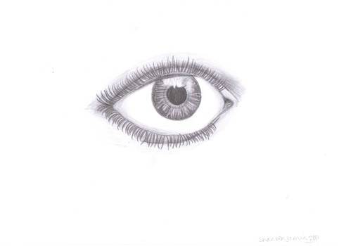 Detailed Eye