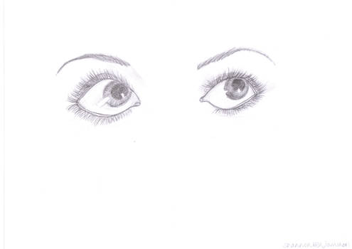 pair of eyes