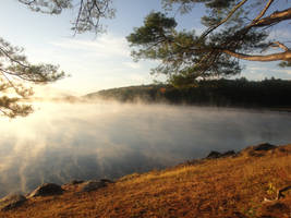 The Morning Fog