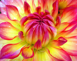 Bright colors